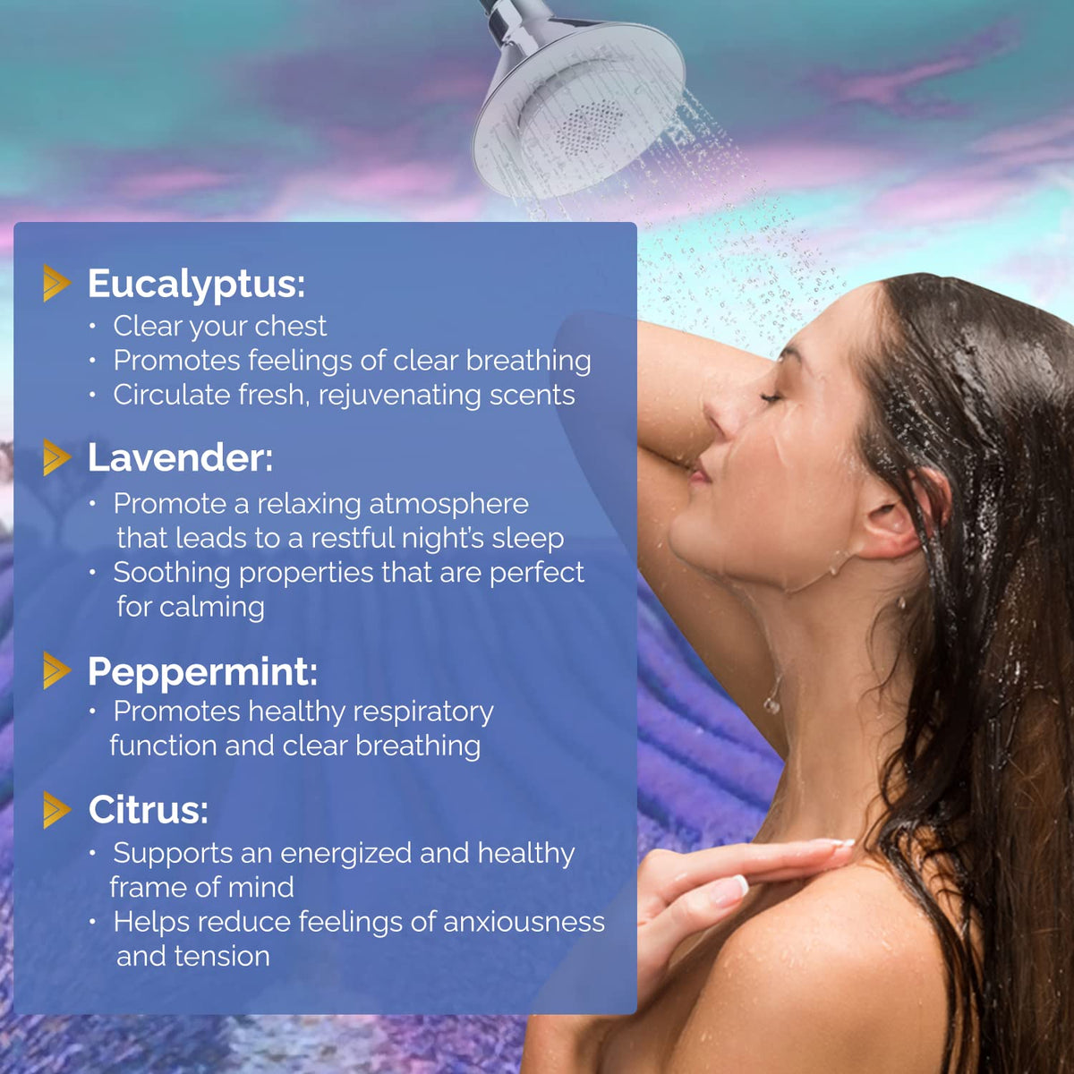 romatherapy Shower Steamers – 4 Scents