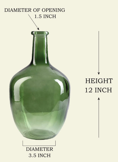 Serene Spaces Living Olive Green Glass Decorative Vase