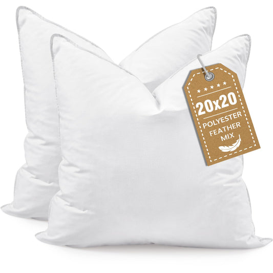 Decorative 20x20 Throw Pillow Inserts (Set of 2)