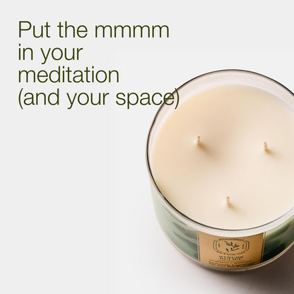 Bath & Body Works Eucalyptus Spearmint 3-Wick Candle