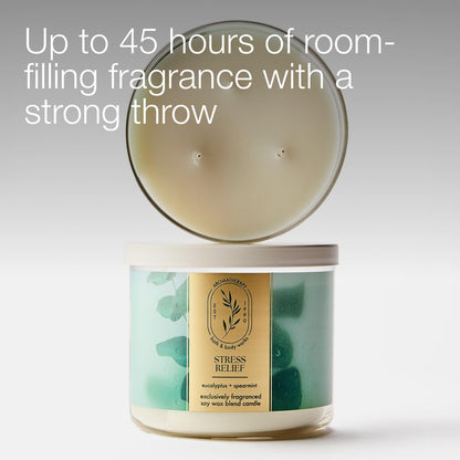 Bath & Body Works Eucalyptus Spearmint 3-Wick Candle