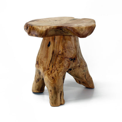 Natural Cedar Stump Side Table | Live Edge End Table