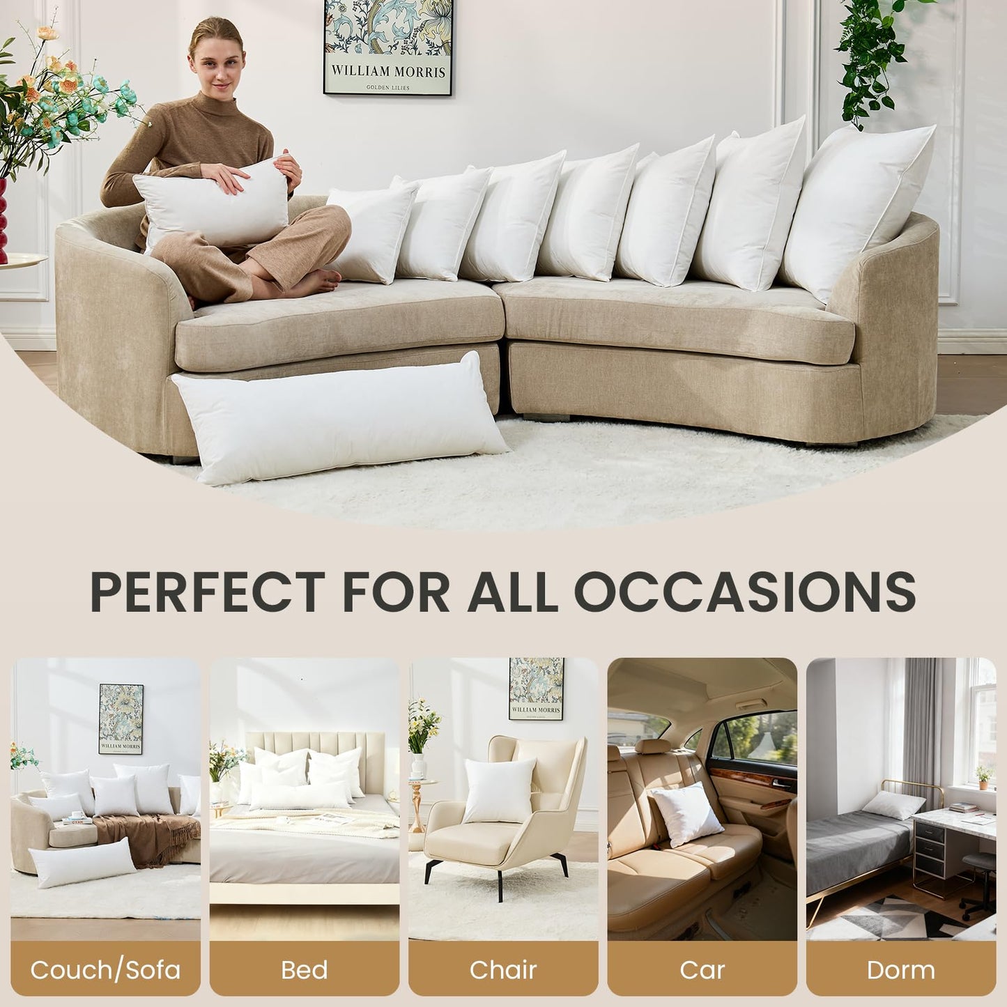 Decorative 20x20 Throw Pillow Inserts (Set of 2)