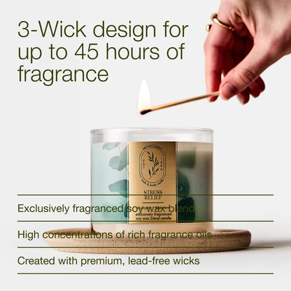 Bath & Body Works Eucalyptus Spearmint 3-Wick Candle