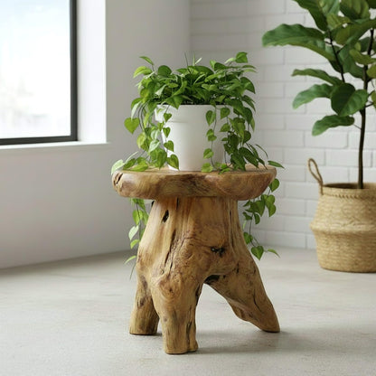 Natural Cedar Stump Side Table | Live Edge End Table