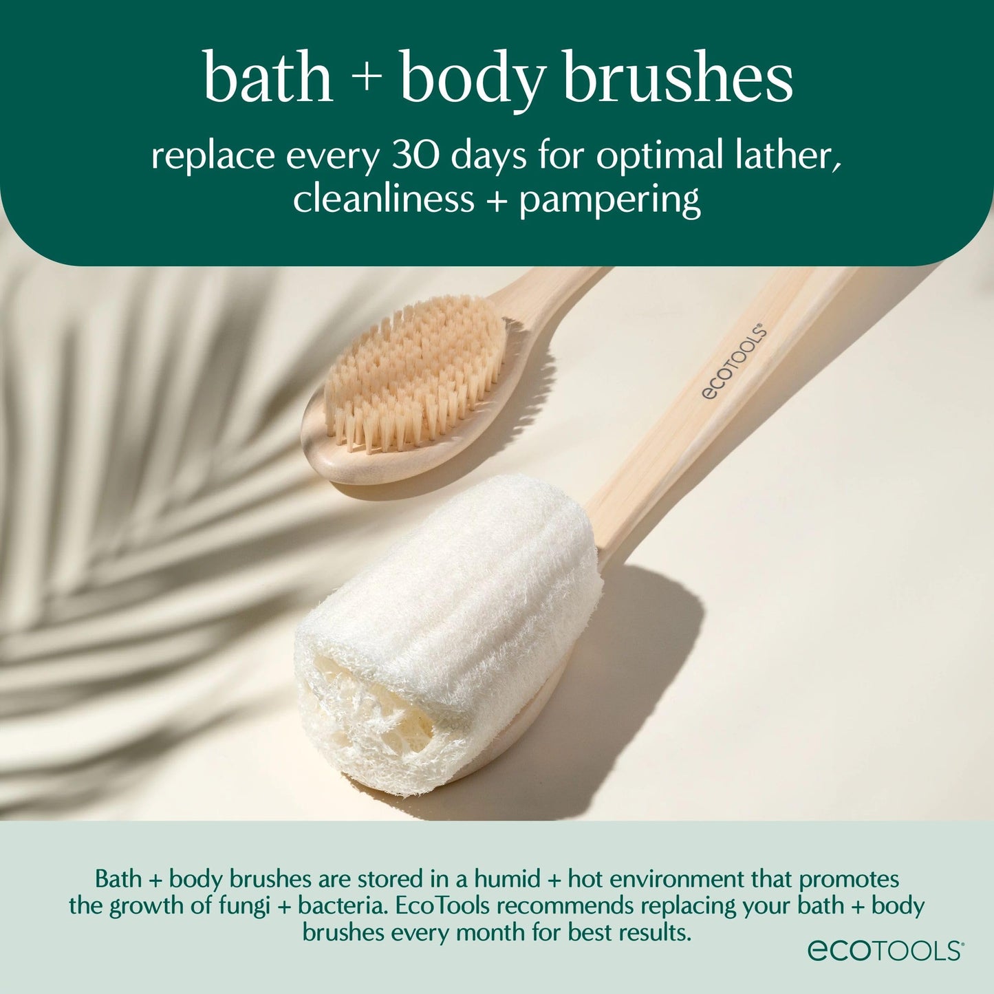 EcoTools Dry Body Brush for Exfoliation & Lymphatic Drainage