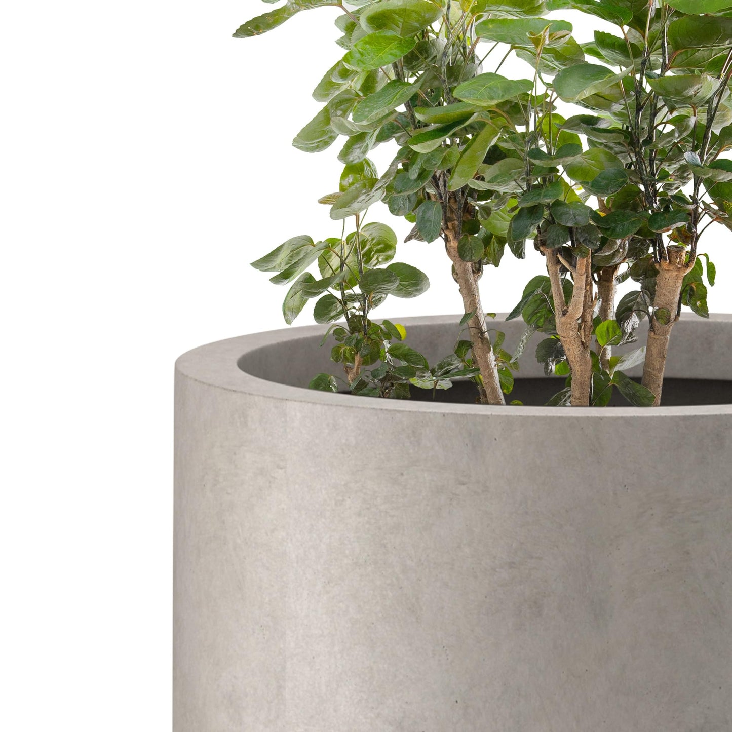 Kante Tall Concrete Planter, 24" Modern Floor Pot Weathered Stone Finish