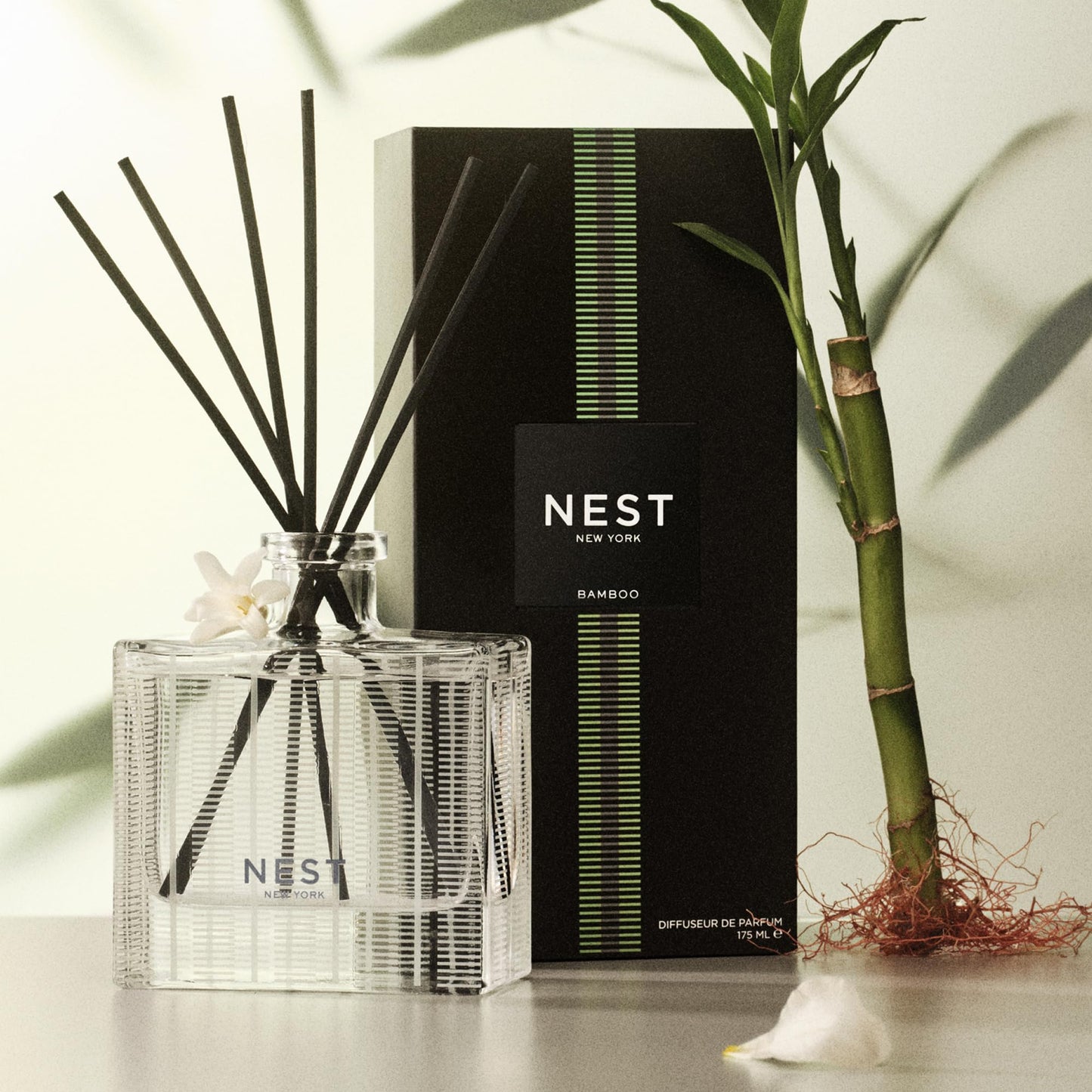 NEST New York Bamboo Reed Diffuser – 5.9 fl oz | Long-Lasting Home Fragrance